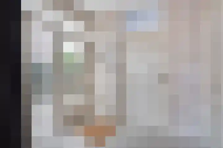 Letterveldweg 109 Borne thumbnail 10