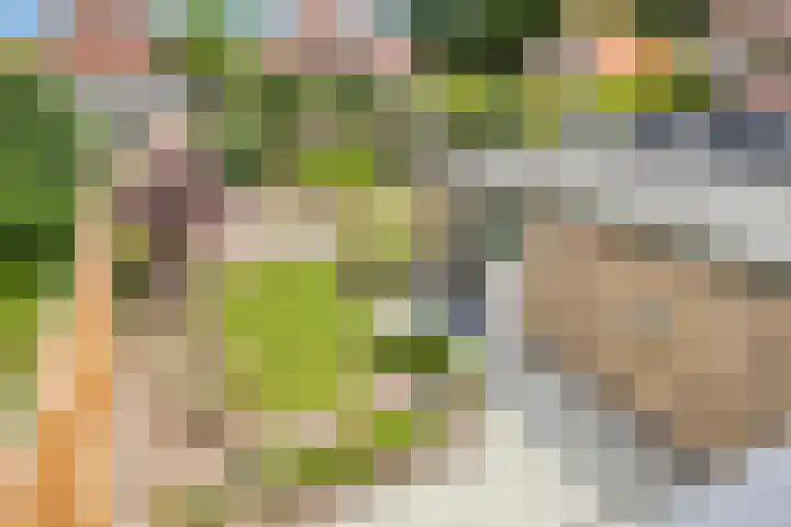 Letterveldweg 109 Borne thumbnail 32