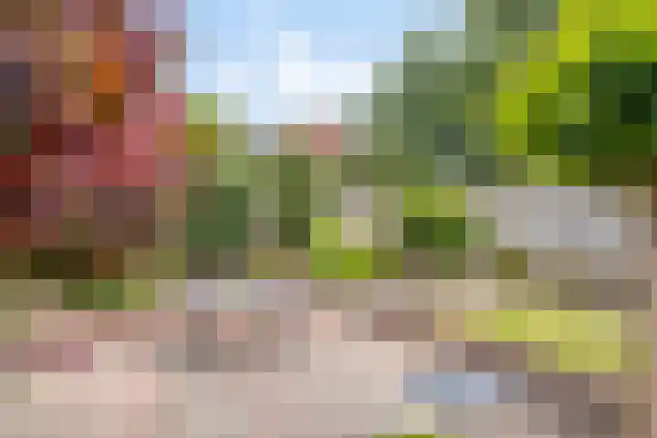 Letterveldweg 109 Borne thumbnail 41