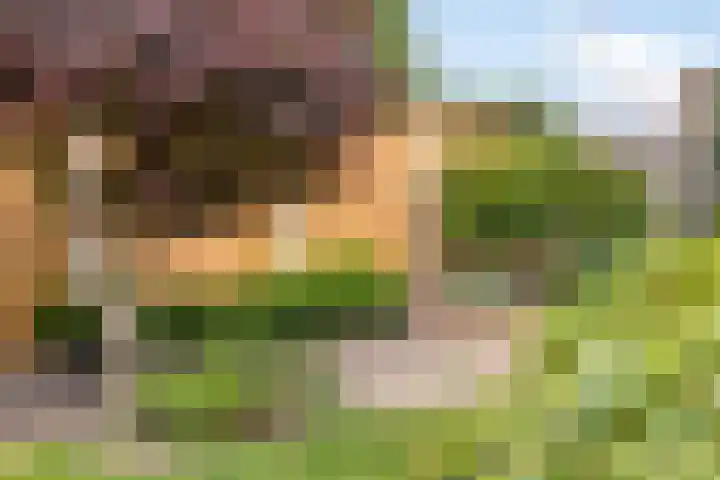 Letterveldweg 109 Borne thumbnail 42