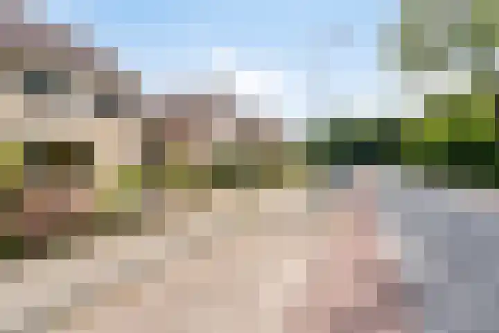 Letterveldweg 109 Borne thumbnail 43