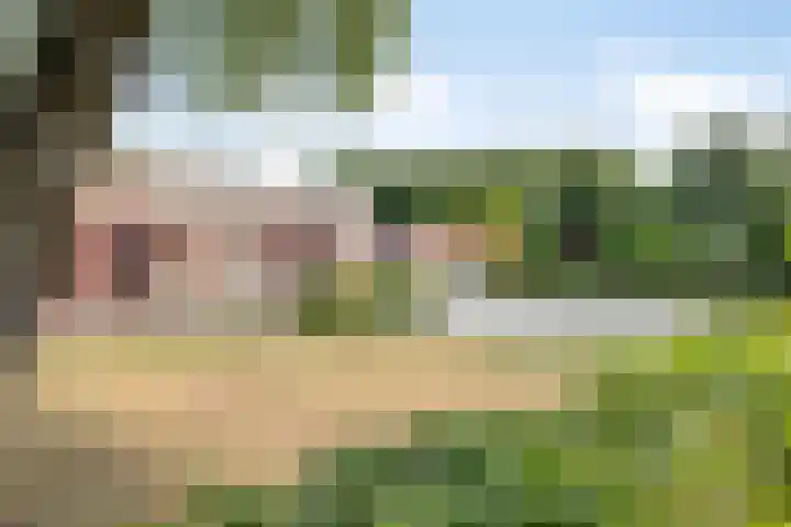 Letterveldweg 109 Borne thumbnail 45