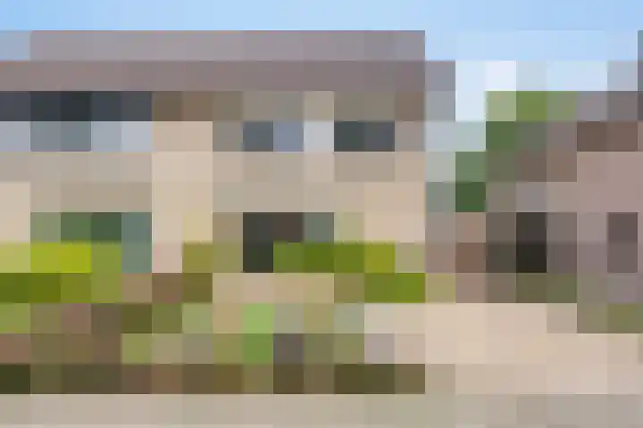 Letterveldweg 109 Borne thumbnail 7