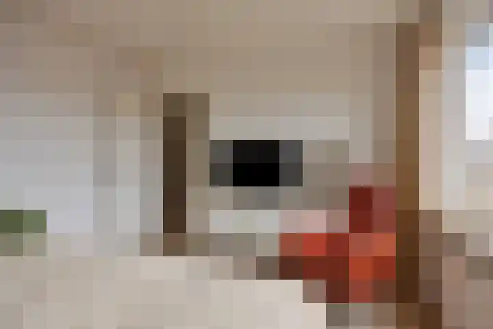 Logo van Leunis Makelaars