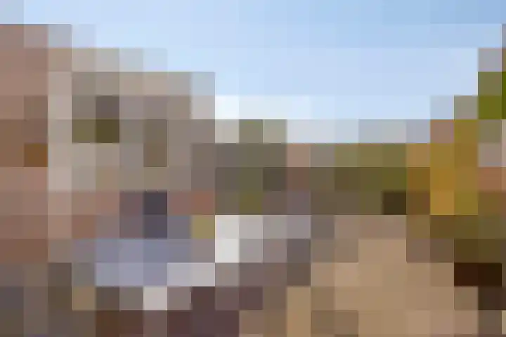 Leurschans 37 Steenbergen thumbnail 24