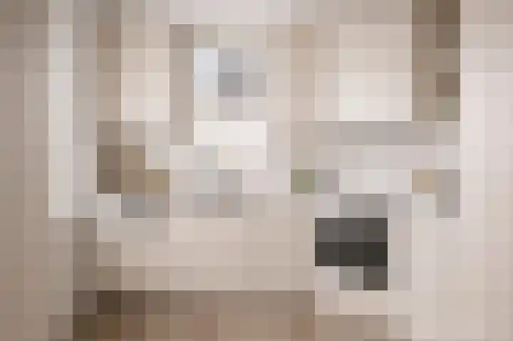 Leurschans 37 Steenbergen thumbnail 9