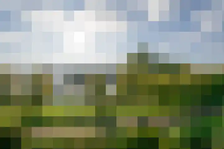 Leusdenhof 409 Amsterdam thumbnail 27