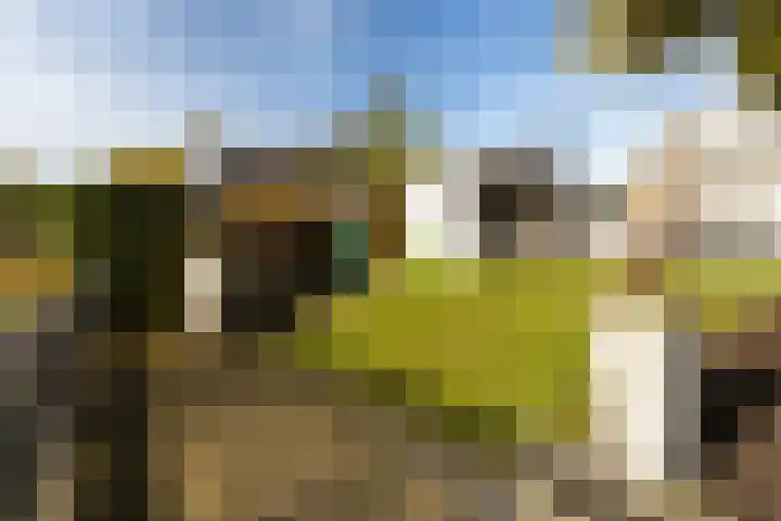 Leusdenhof 409 Amsterdam thumbnail 4