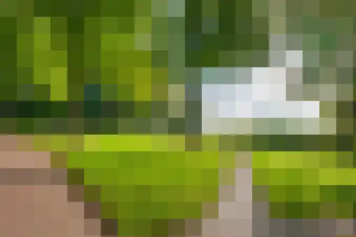 Leusdenhof 409 Amsterdam thumbnail 40