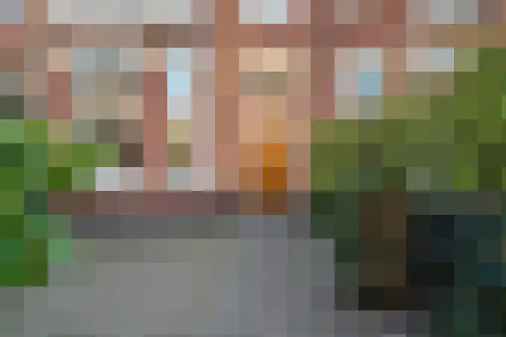 Leuvensestraat 61 Den Haag thumbnail 5
