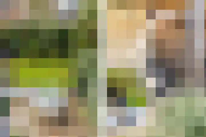 Leuvenstein 51 Kesteren thumbnail 88