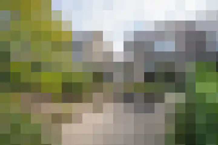 Levanger 2 Leerdam foto 3