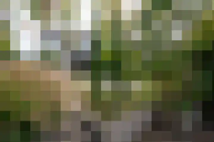 Levanger 2 Leerdam thumbnail 36