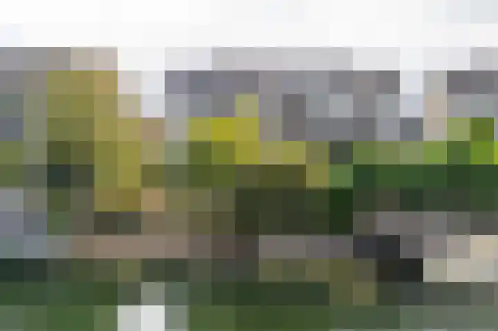 Levanger 2 Leerdam thumbnail 39