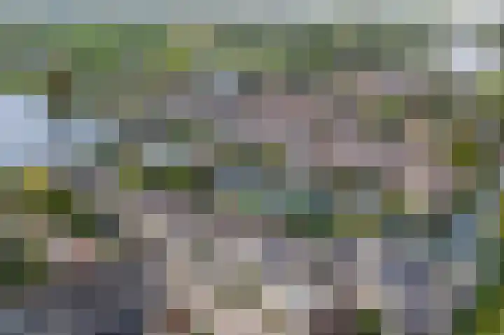 Levanger 2 Leerdam thumbnail 43