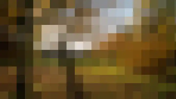Levendaal 144 E Leiden thumbnail 40