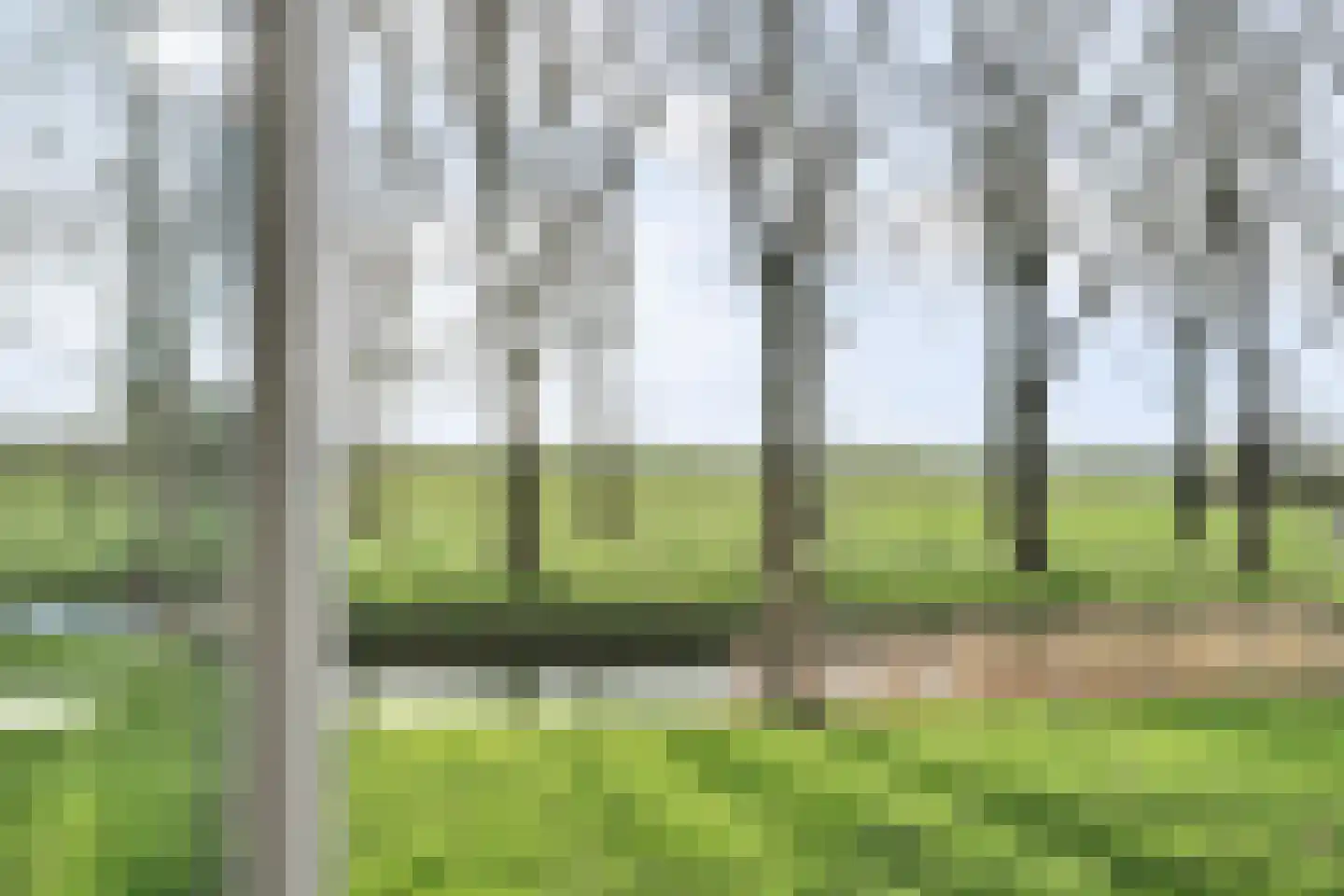 Levendaal 144 E Leiden thumbnail 8