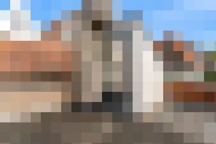 Levendaal 162 Leiden thumbnail 19