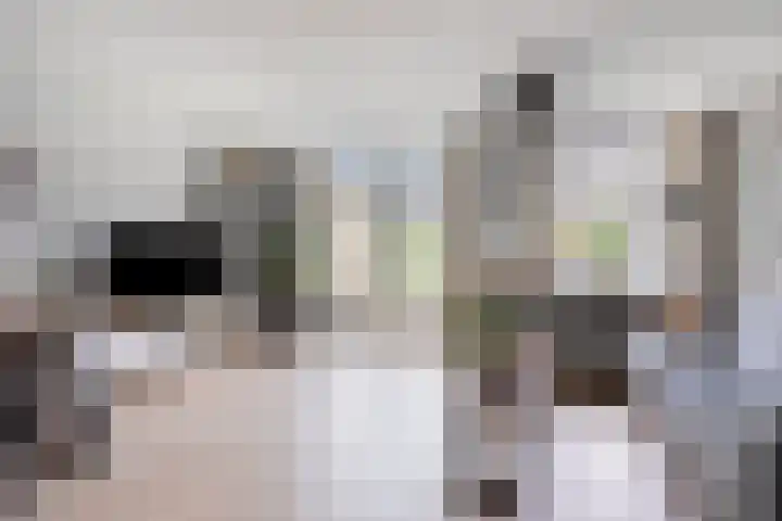 Leverkruid 18 Asten thumbnail 17