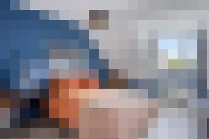 Leverkruid 18 Asten thumbnail 20