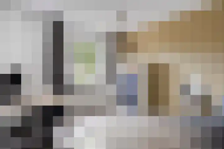 Leverkruid 18 Asten thumbnail 22