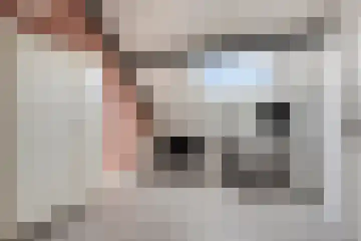 Leverkruid 18 Asten thumbnail 27