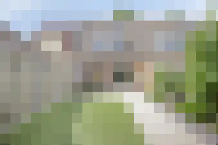 Leverkruid 18 Asten thumbnail 28
