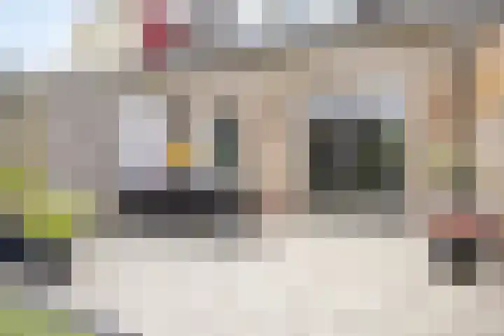 Leverkruid 18 Asten thumbnail 29