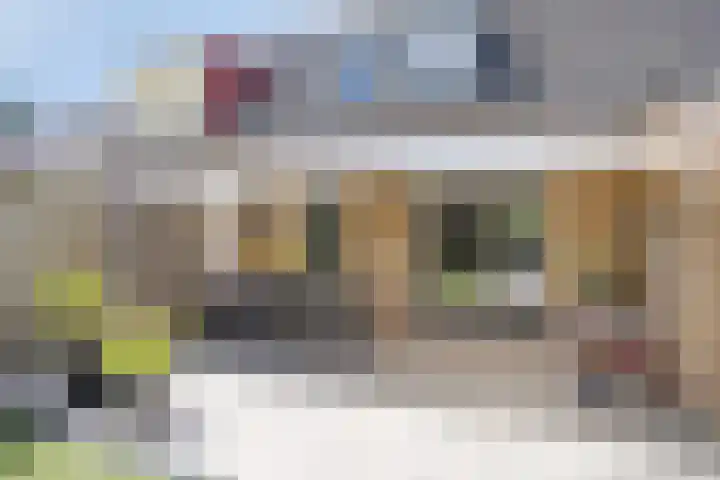 Leverkruid 18 Asten thumbnail 30