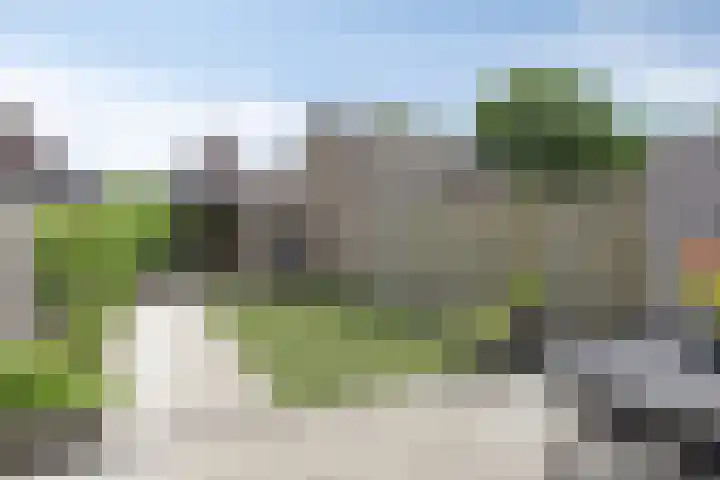 Leverkruid 18 Asten thumbnail 33