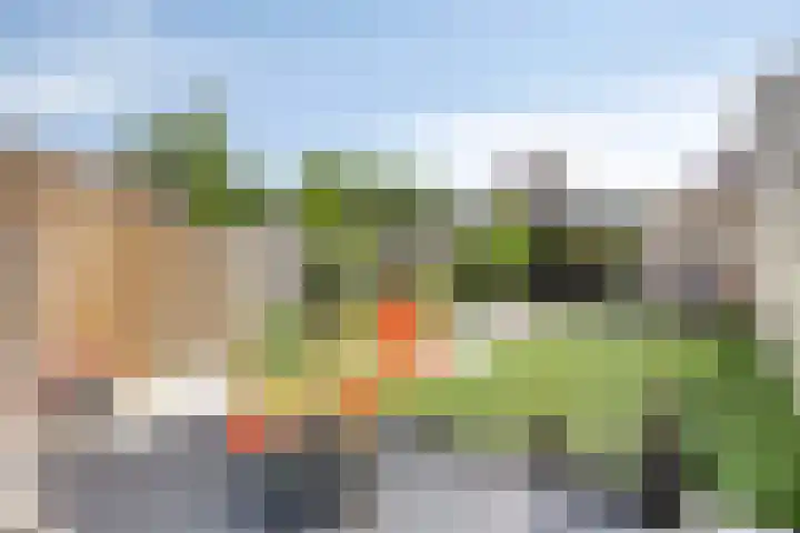 Leverkruid 18 Asten thumbnail 5