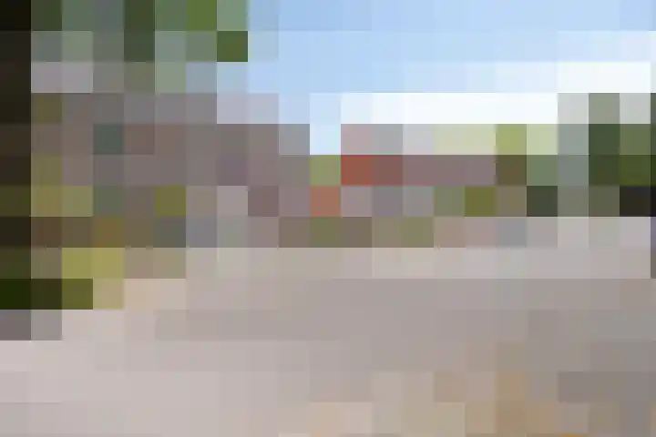 Leverkruid 18 Asten thumbnail 6