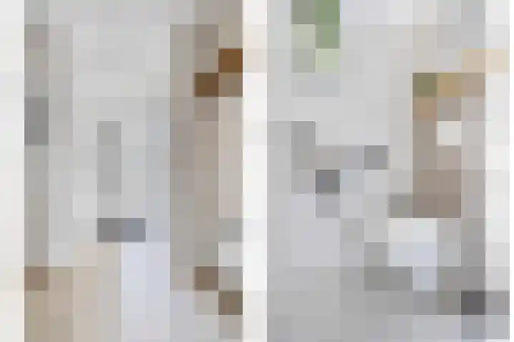 Leverkruid 18 Asten thumbnail 8