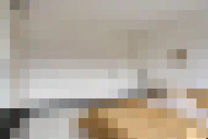 Leverkruid 18 Purmerend thumbnail 25