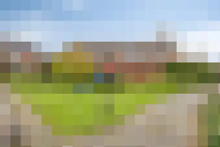 Leverkruid 18 Purmerend thumbnail 36