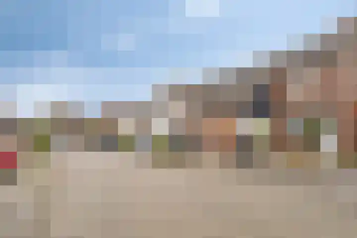 Leverkruid 18 Purmerend thumbnail 38