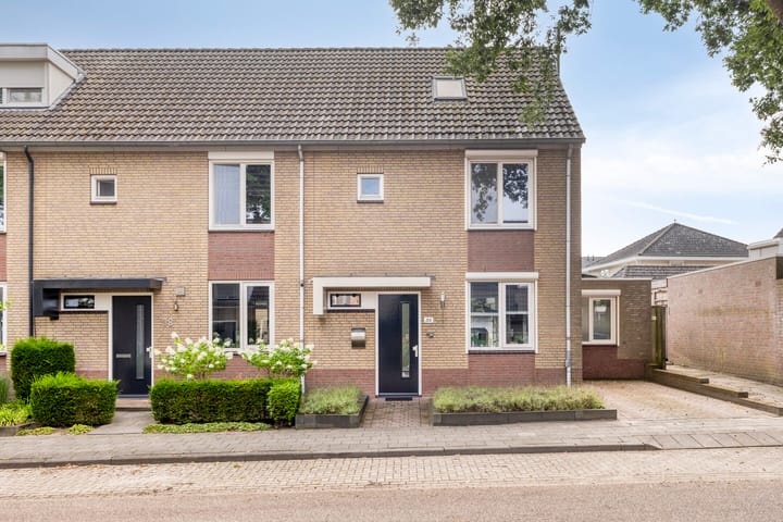 Leverkruid 36 in Asten foto