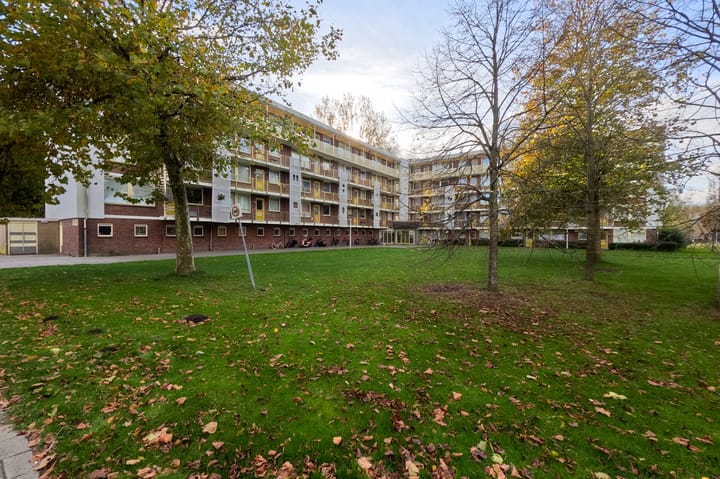 Leverkruidweg 121 in Zaandam foto