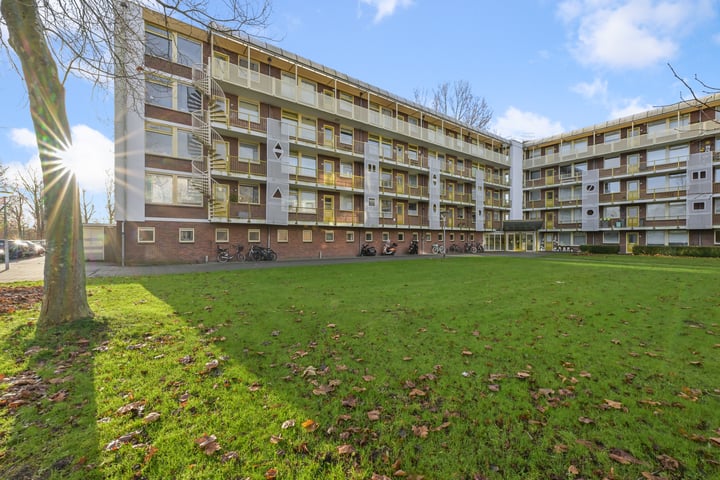 Leverkruidweg 73 in Zaandam foto