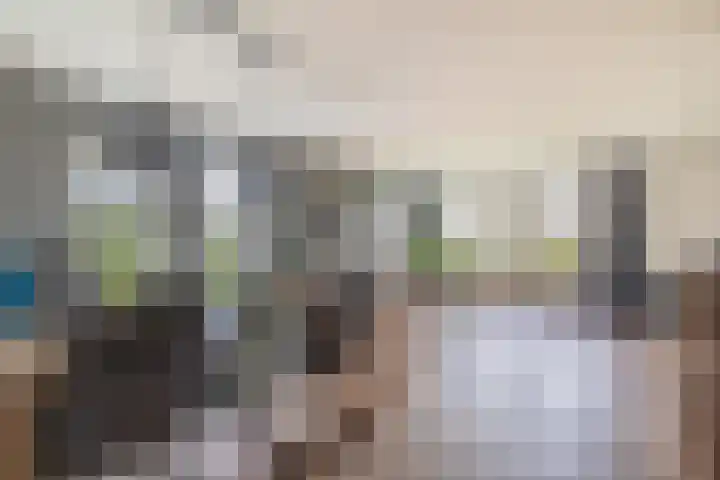 Levimaat 2 Dwingeloo thumbnail 11