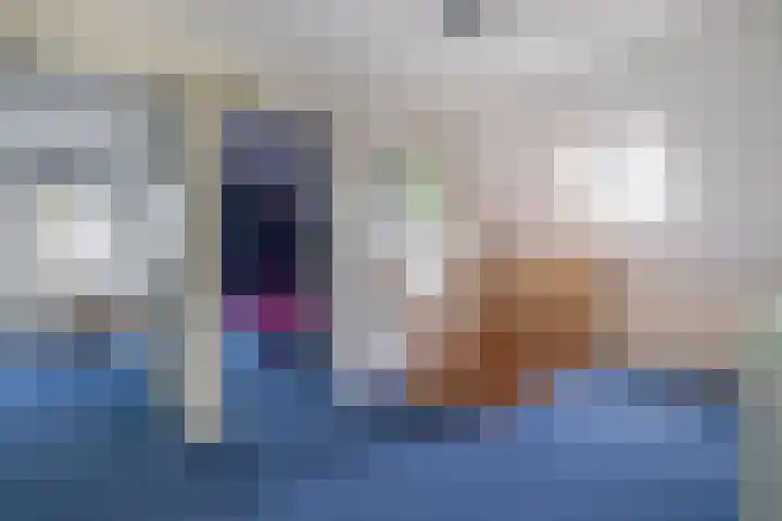 Levimaat 2 Dwingeloo thumbnail 24