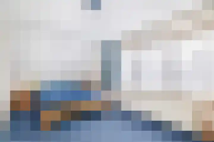 Levimaat 2 Dwingeloo thumbnail 25