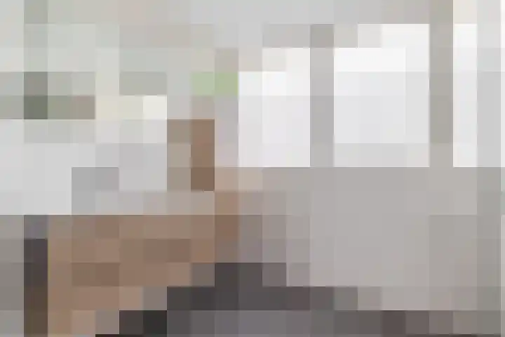 Levimaat 2 Dwingeloo thumbnail 27