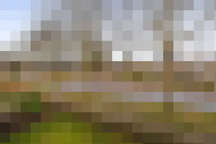 Levimaat 2 Dwingeloo thumbnail 32