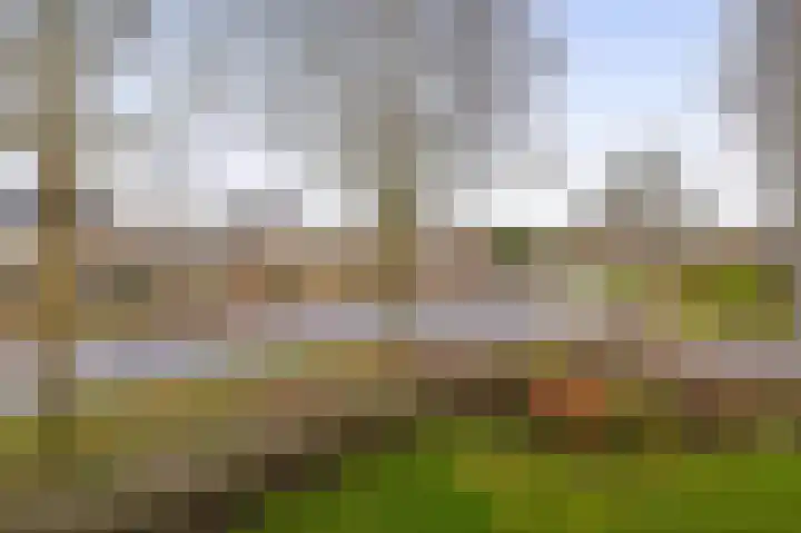 Levimaat 2 Dwingeloo thumbnail 33