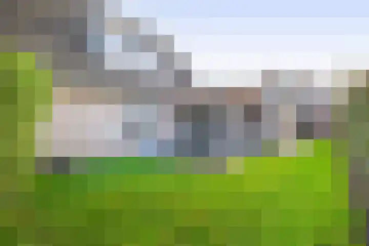 Levimaat 2 Dwingeloo thumbnail 36