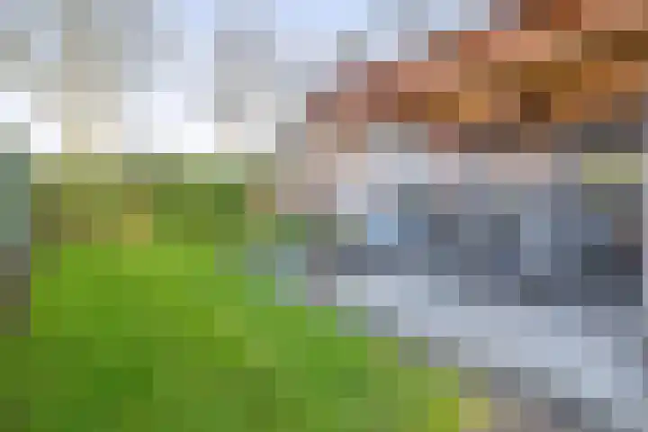 Levimaat 2 Dwingeloo thumbnail 38