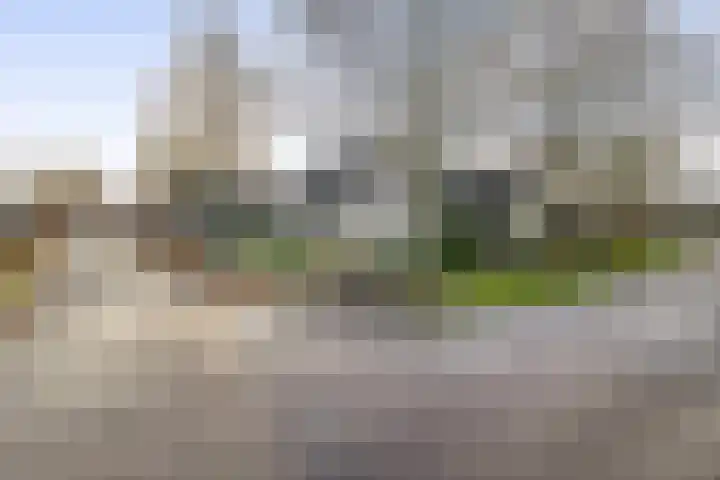 Levimaat 2 Dwingeloo thumbnail 49