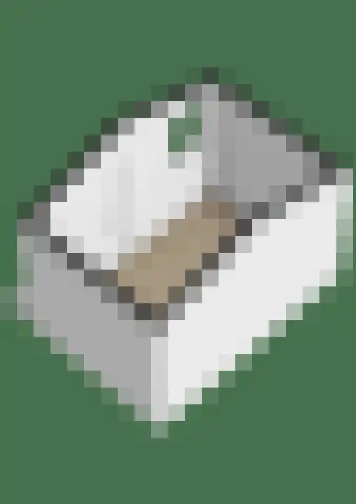 Levimaat 2 Dwingeloo thumbnail 59