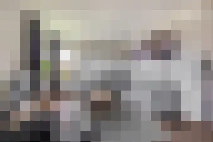 Levimaat 2 Dwingeloo thumbnail 8